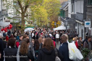 Martinsmarkt 2015